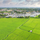 05 questions pour vous aider à choisir votre terrain